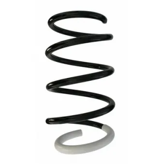 Ressort de suspension SPIDAN 87726