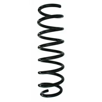 Ressort de suspension SPIDAN 87733