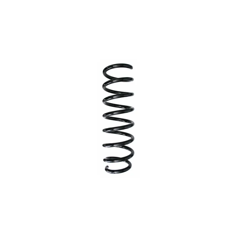 Ressort de suspension SPIDAN 87736