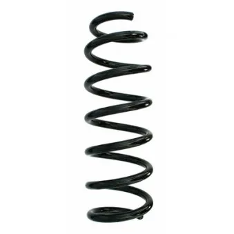 Ressort de suspension SPIDAN 87737