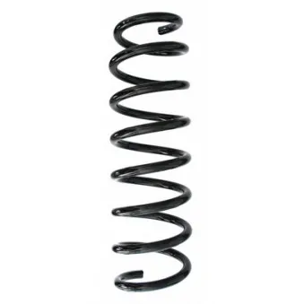 Ressort de suspension SPIDAN 87742