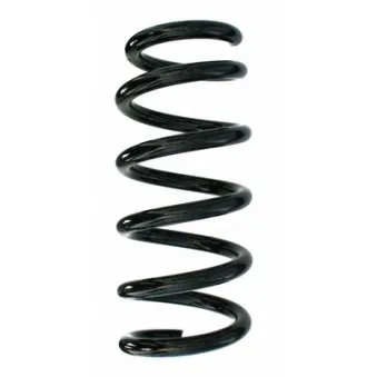 Ressort de suspension SPIDAN 87748