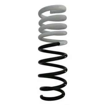 Ressort de suspension SPIDAN 87749
