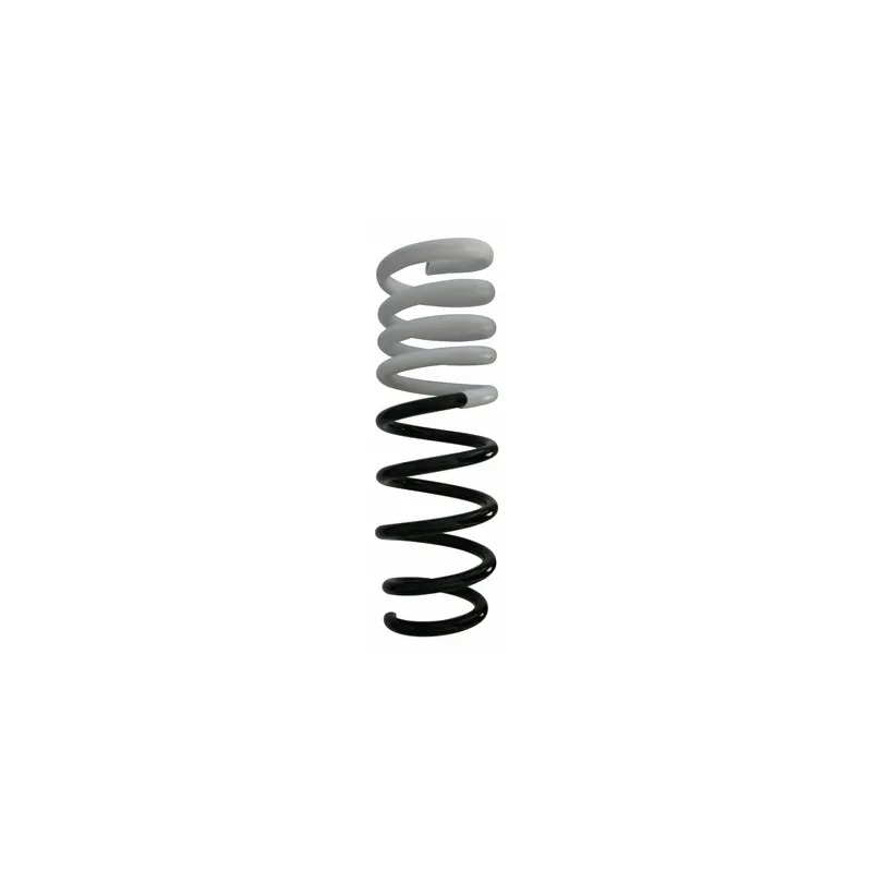 Ressort de suspension SPIDAN 87749