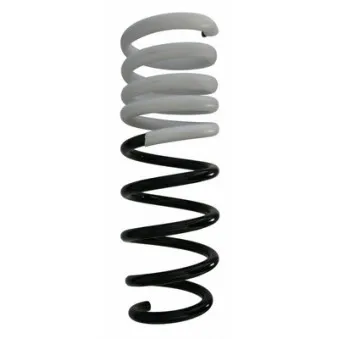Ressort de suspension SPIDAN 87750