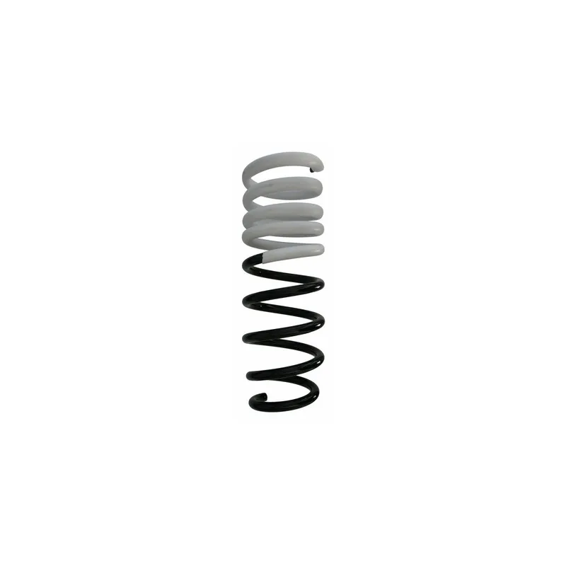 Ressort de suspension SPIDAN 87750