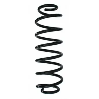 Ressort de suspension SPIDAN 87779