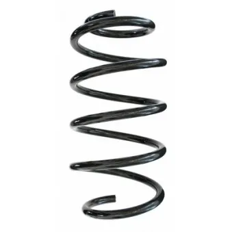 Ressort de suspension SPIDAN 87791