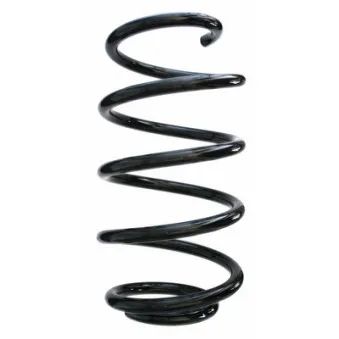 Ressort de suspension SPIDAN 87796