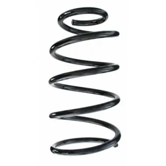 Ressort de suspension SPIDAN 87797