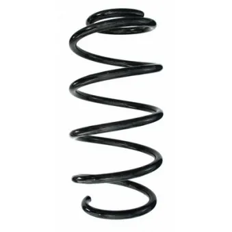 Ressort de suspension SPIDAN 87798