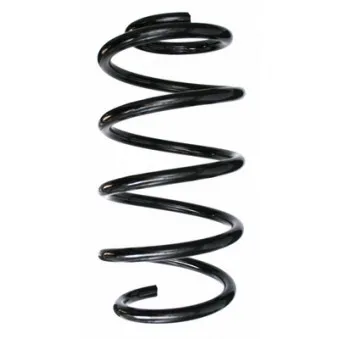 Ressort de suspension SPIDAN 87800