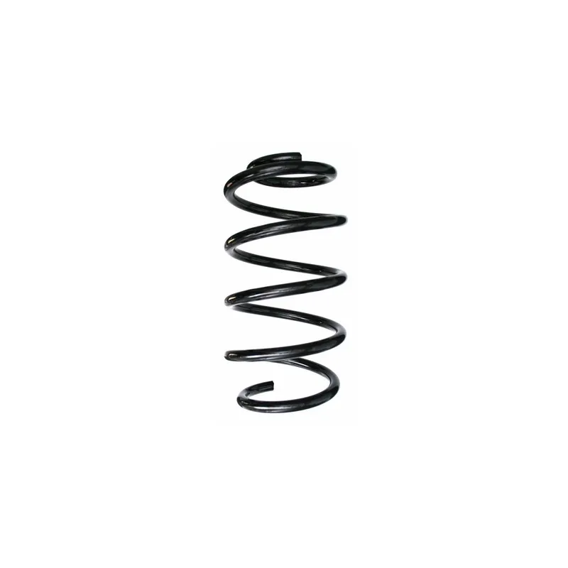 Ressort de suspension SPIDAN 87800