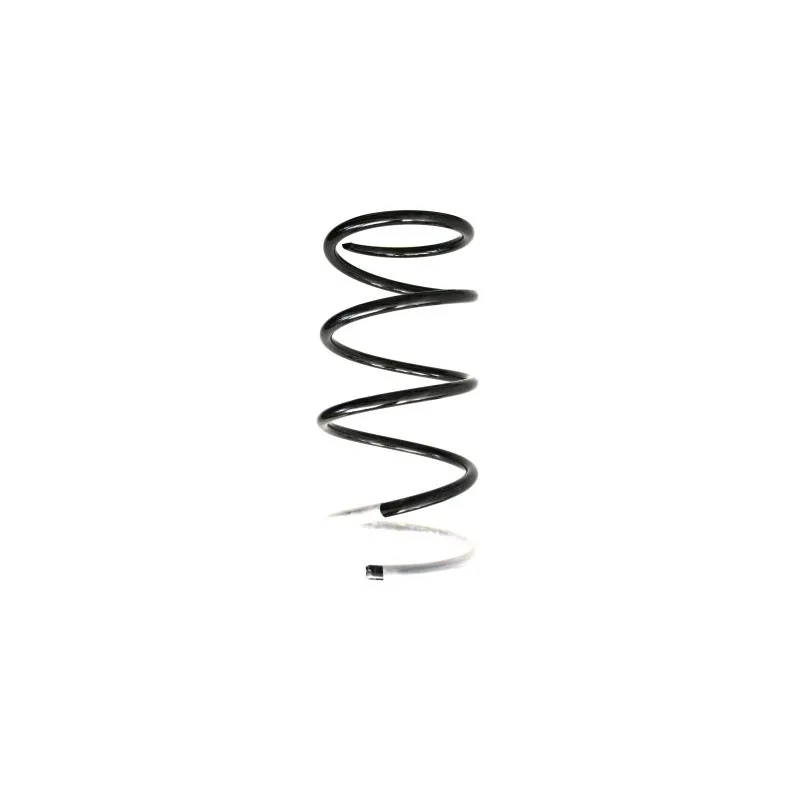 Ressort de suspension SPIDAN 87802