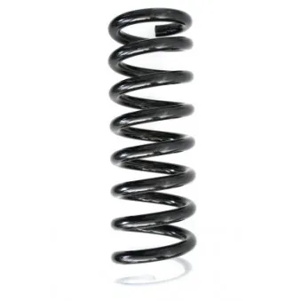 Ressort de suspension SPIDAN 87803