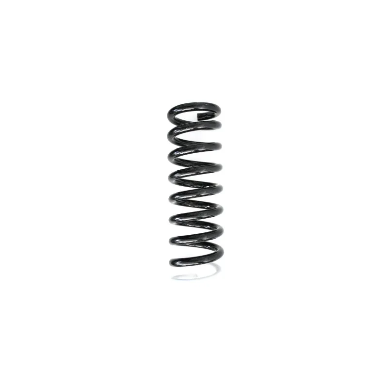 Ressort de suspension SPIDAN 87803