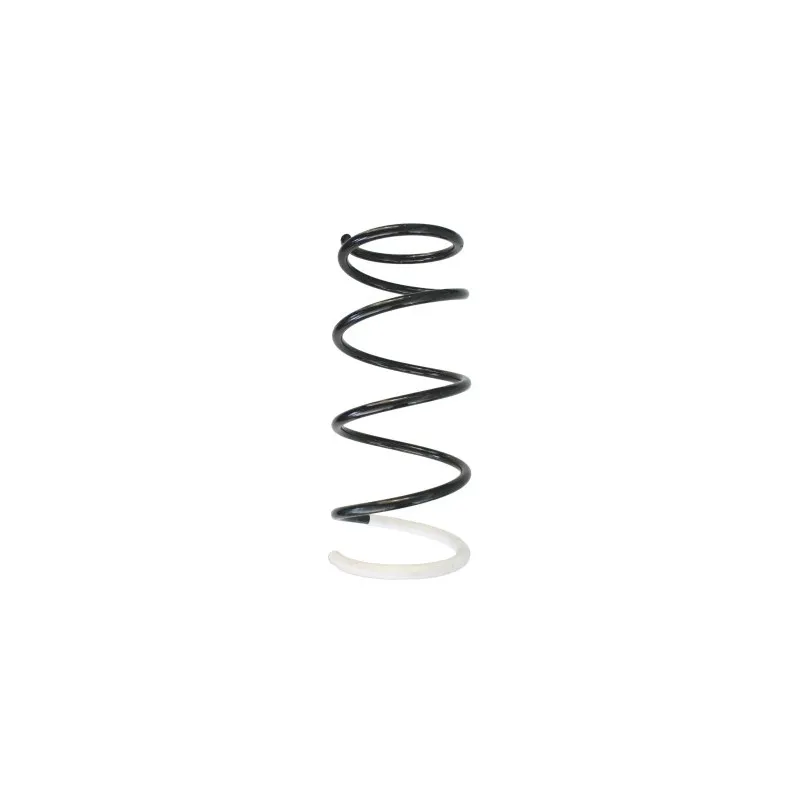 Ressort de suspension SPIDAN 87806