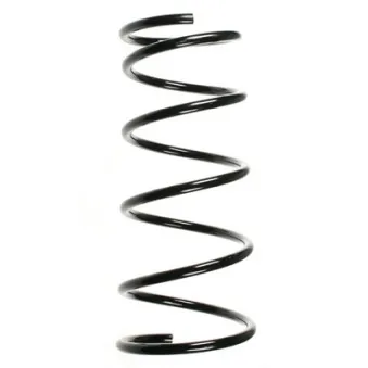 Ressort de suspension SPIDAN 87807