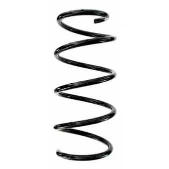 Ressort de suspension SPIDAN 87819