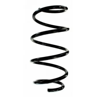 Ressort de suspension SPIDAN 87821