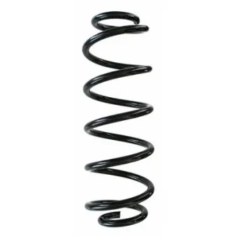 Ressort de suspension SPIDAN 87824