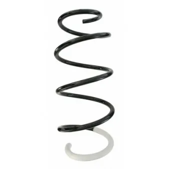 Ressort de suspension SPIDAN 87832