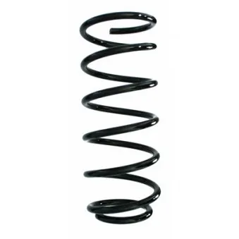 Ressort de suspension SPIDAN 87834
