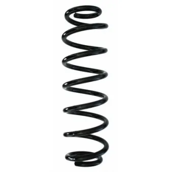 Ressort de suspension SPIDAN 87837