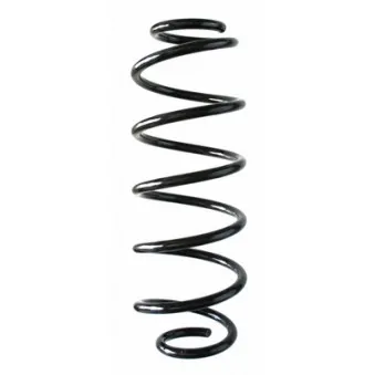 Ressort de suspension SPIDAN 87842