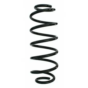 Ressort de suspension SPIDAN 87844