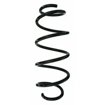 Ressort de suspension SPIDAN 87846