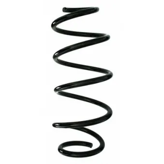 Ressort de suspension SPIDAN 87848