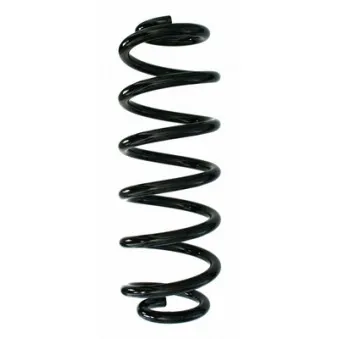 Ressort de suspension SPIDAN 87849