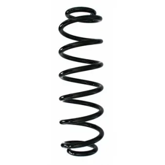 Ressort de suspension SPIDAN 87852