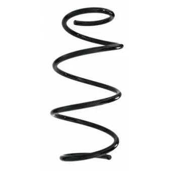 Ressort de suspension SPIDAN 87862