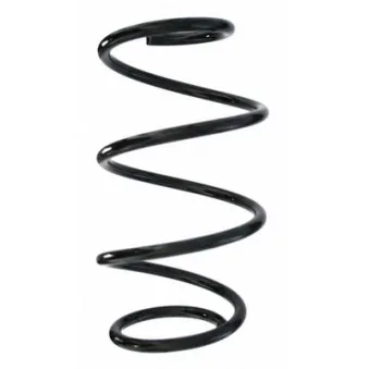 Ressort de suspension SPIDAN 87864
