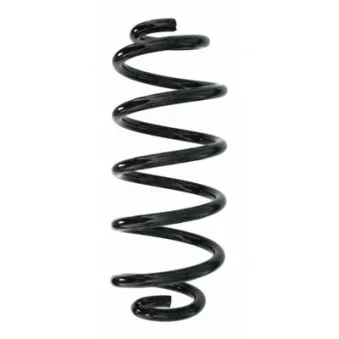 Ressort de suspension SPIDAN 87870