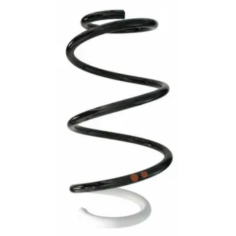 Ressort de suspension SPIDAN 87876