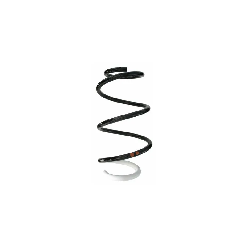 Ressort de suspension SPIDAN 87876
