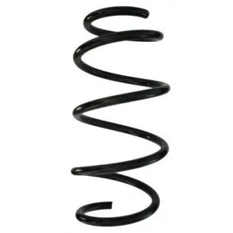 Ressort de suspension SPIDAN 87889