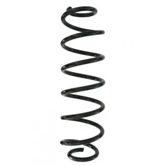 Ressort de suspension SPIDAN 87892