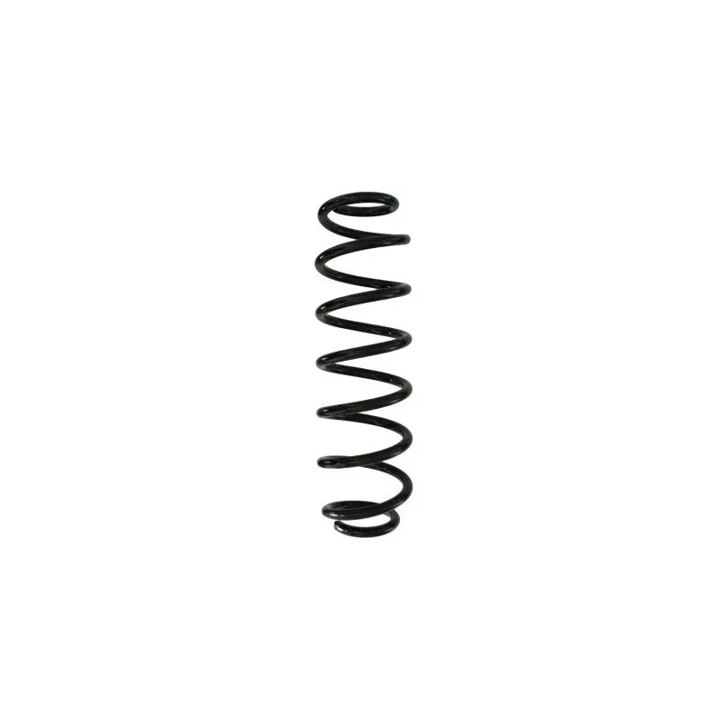 Ressort de suspension SPIDAN 87893