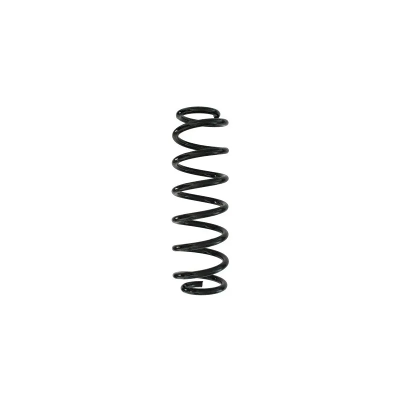 Ressort de suspension SPIDAN 87895