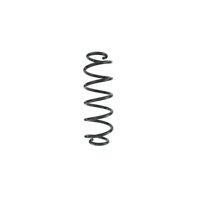 Ressort de suspension SPIDAN 87896