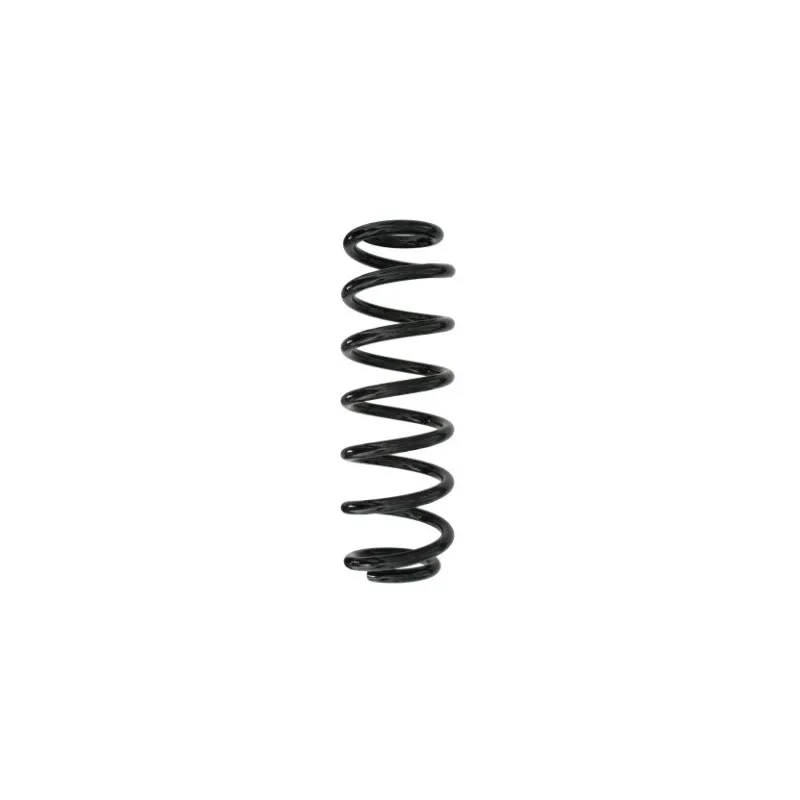 Ressort de suspension SPIDAN 87897