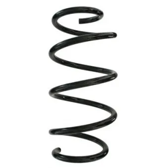 Ressort de suspension SPIDAN 87901