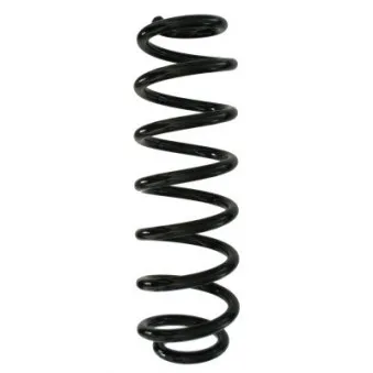 Ressort de suspension SPIDAN 87904