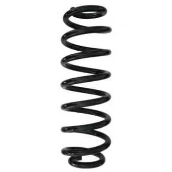 Ressort de suspension SPIDAN 87907