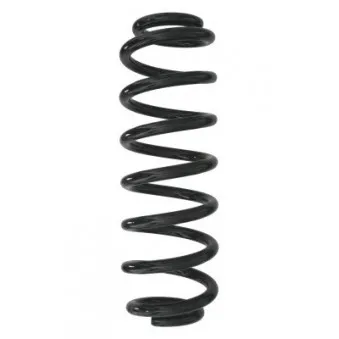 Ressort de suspension SPIDAN 87910