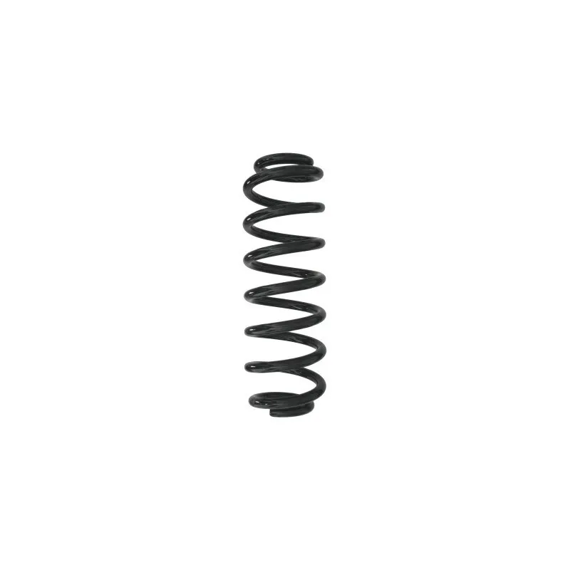 Ressort de suspension SPIDAN 87910